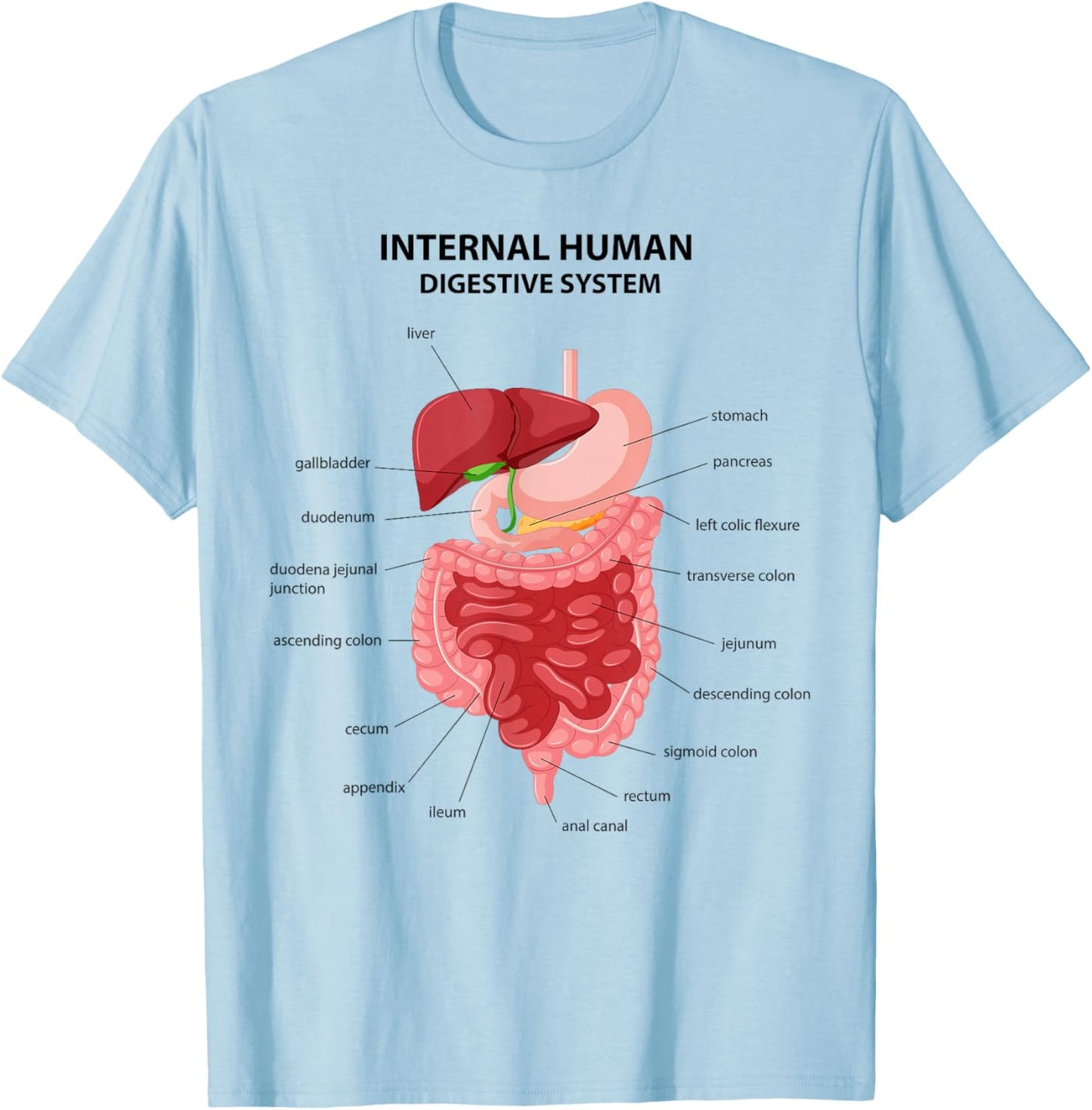 Funny Digestive System Anatomy Anatomical Biology Teacher T-Shirt - T-Shirt | Light Blue