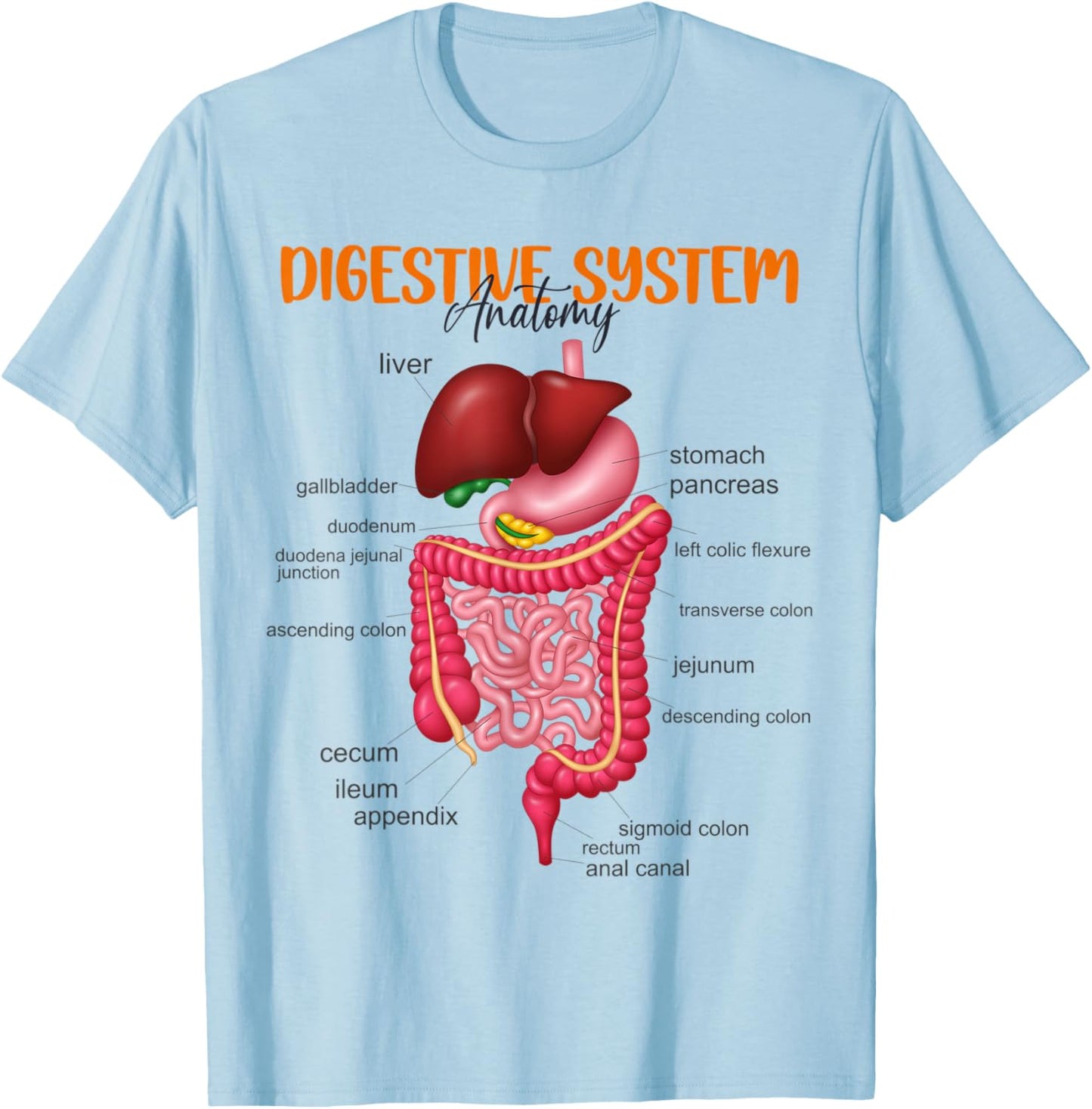 Funny Digestive System Anatomy Anatomical Biology Teacher Women T-Shirt - T-Shirt | Light Blue