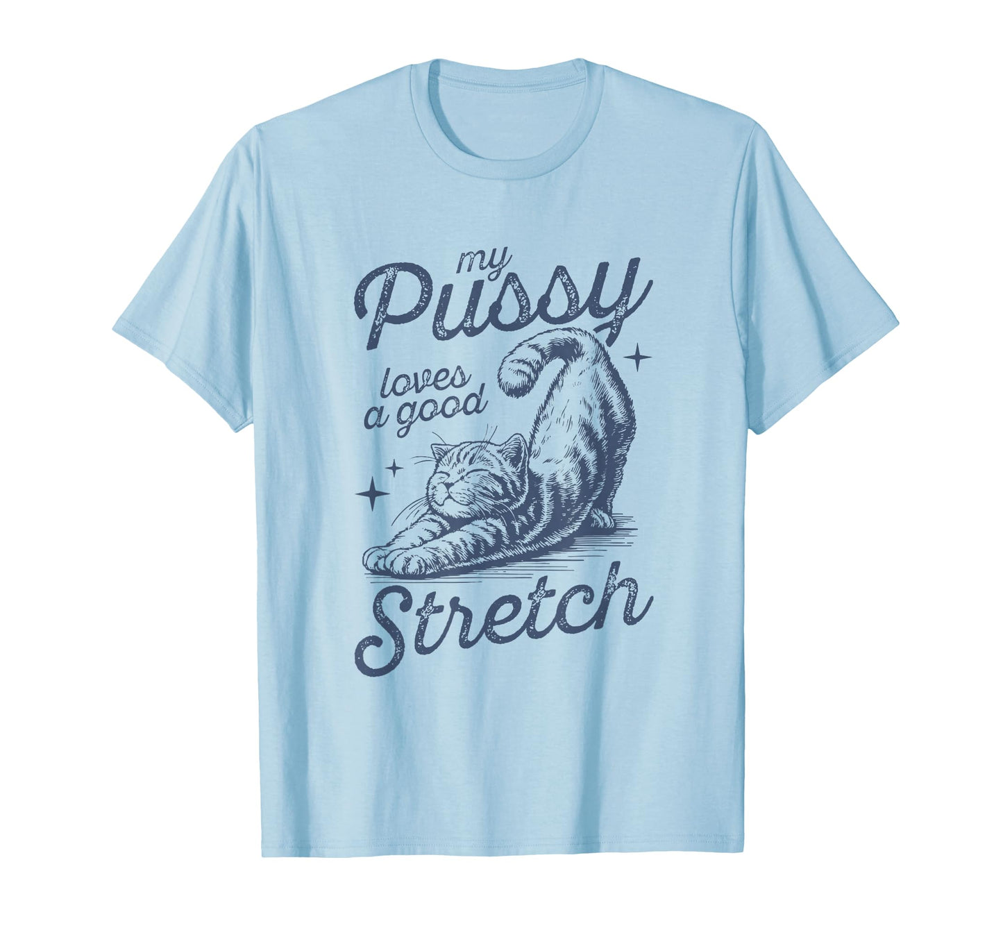 My Pussy Loves A Good Stretch Funny Meme T-Shirt