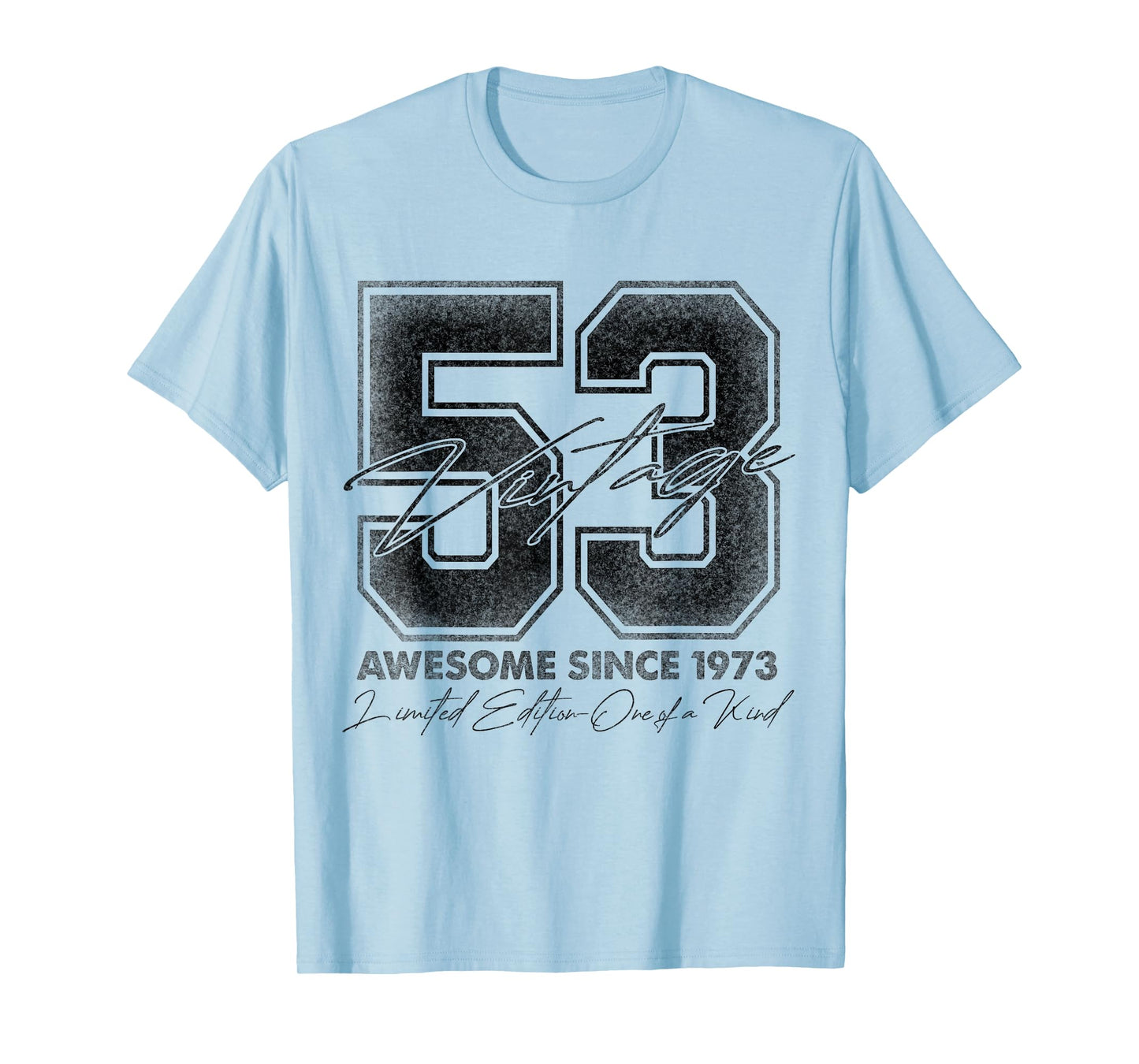 53 Year Old Gifts Vintage 1973 Limited Edition 53rd Birthday T-Shirt
