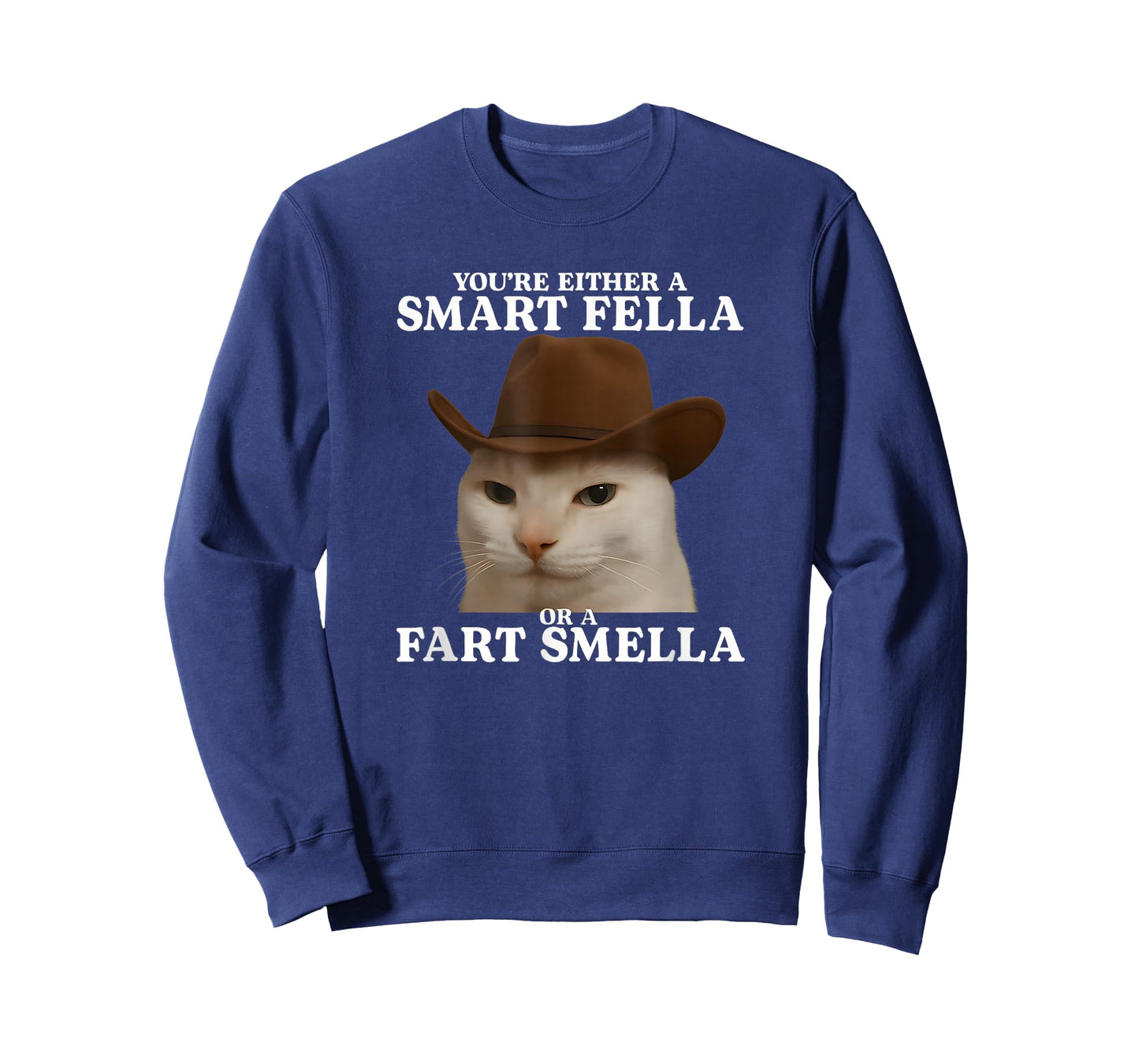 You're Either a Smart Fella or a Fart Smella Funny Cat Meme T-Shirt