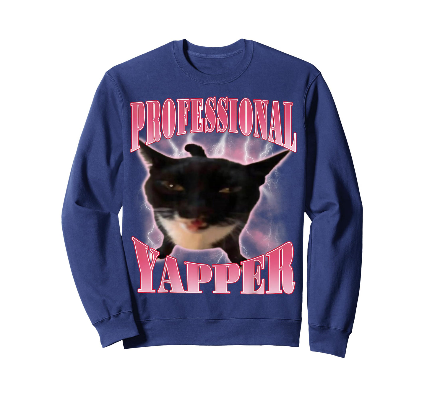 Professional Yapper Cat Funny Oddly Specific Dank Meme T-Shirt