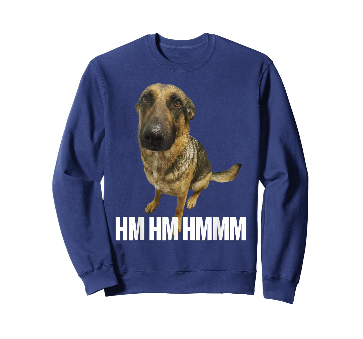 Funny Hm Hmm Whining Dog Viral Meme T-Shirt