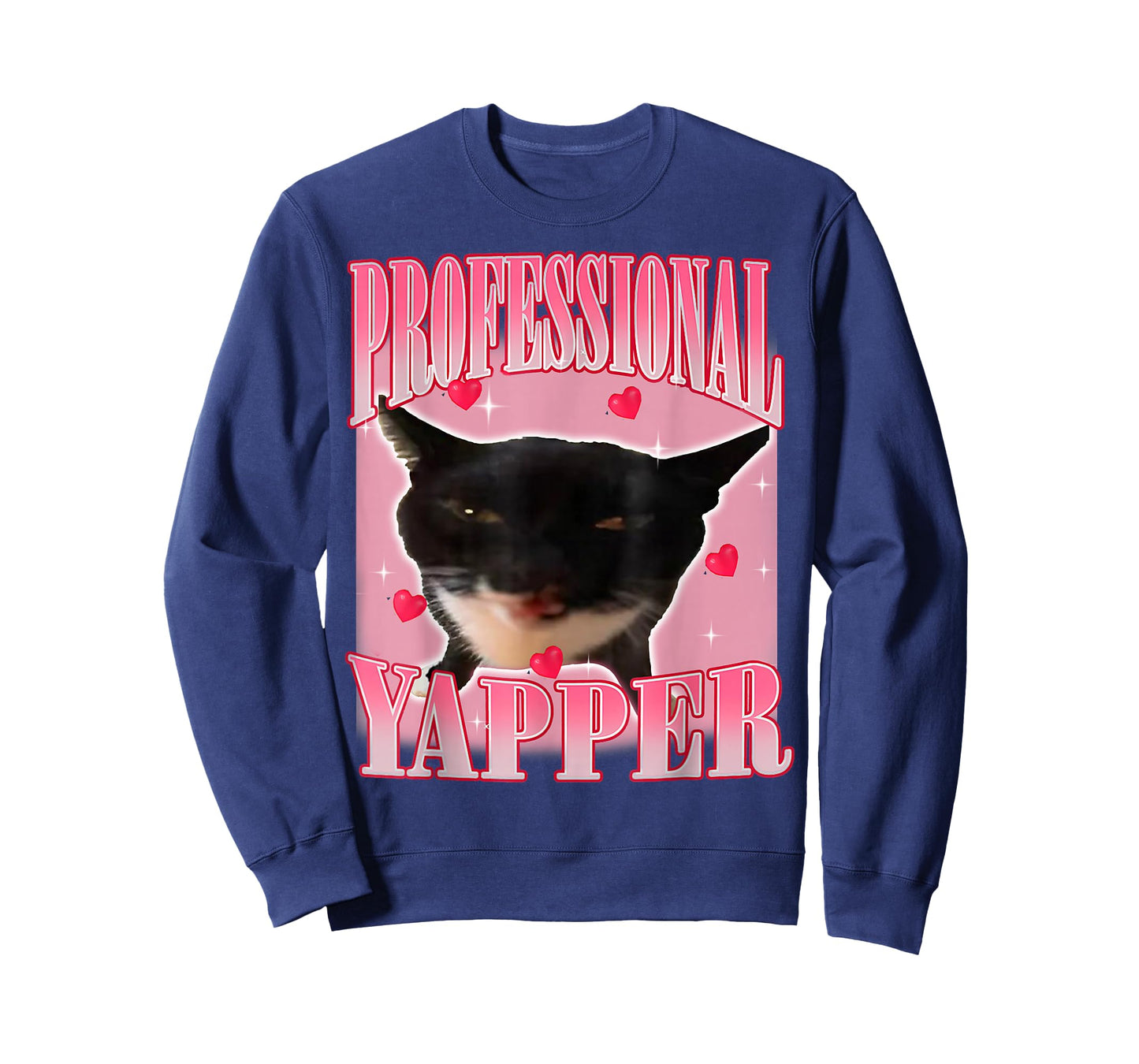 Professional Yapper Cat Funny Oddly Specific Dank Meme T-Shirt
