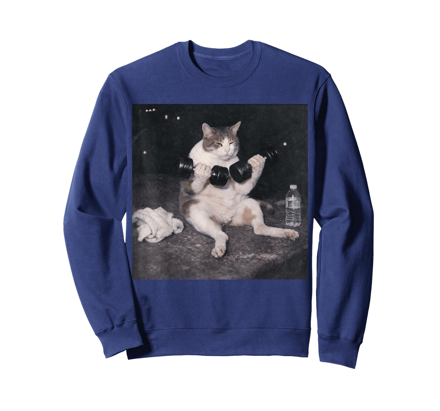 Funny Gym Cat Meme Vintage Weightlifting Workout Day Humor T-Shirt