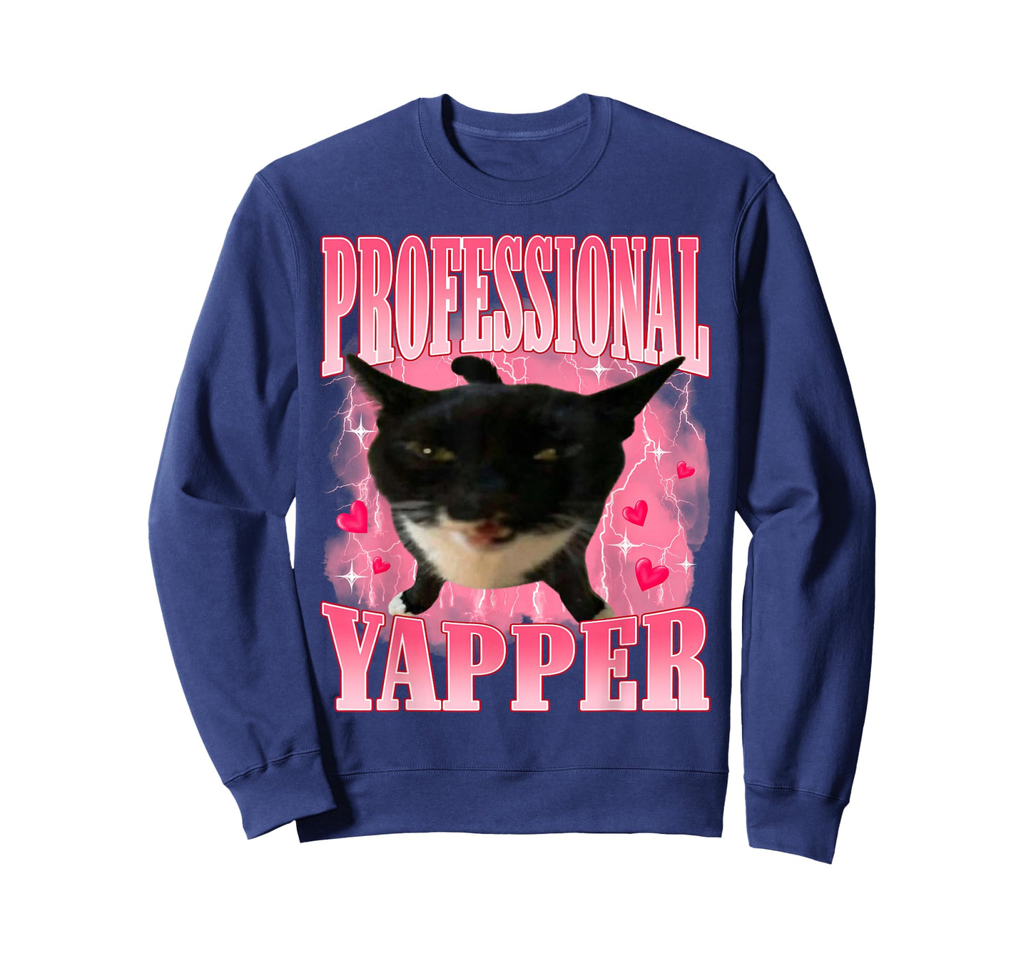 Professional Yapper Cat Funny Oddly Specific Dank Meme T-Shirt