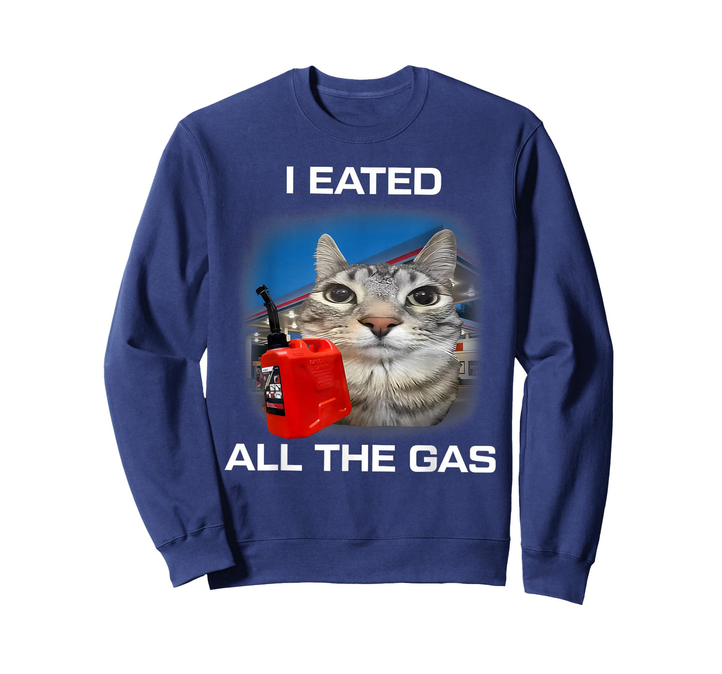 I Eated All The Gas Cat Meme Stupid Brainrot Humor T-Shirt