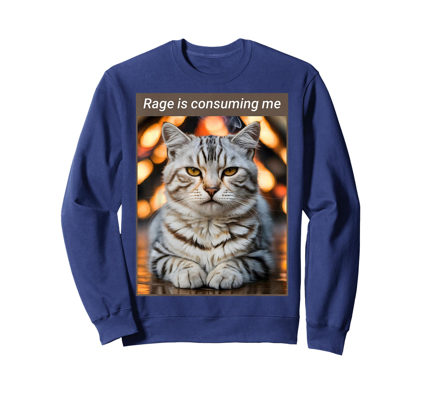 Rage is Consuming Me - Funny Cat T-Shirt