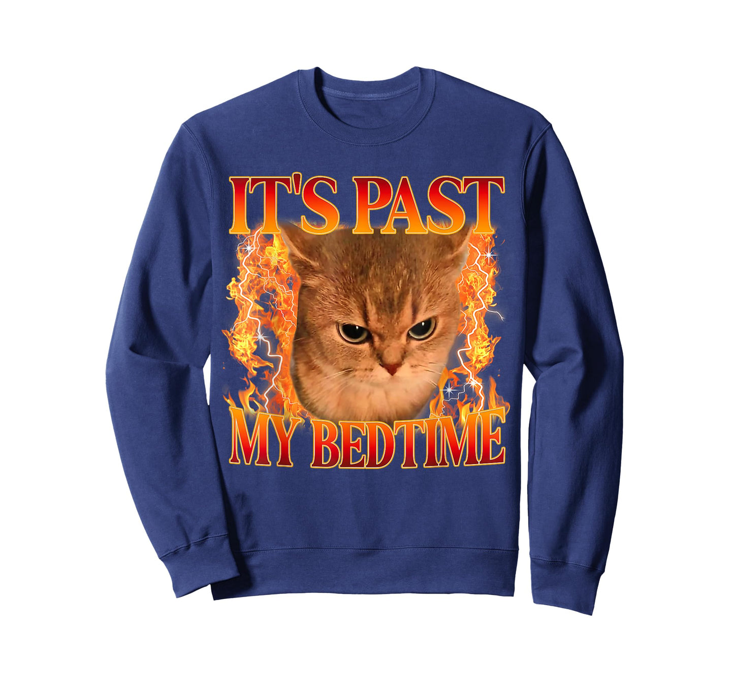 It's Past My Bedtime Funny Cat Meme Animals Humor Quote T-Shirt