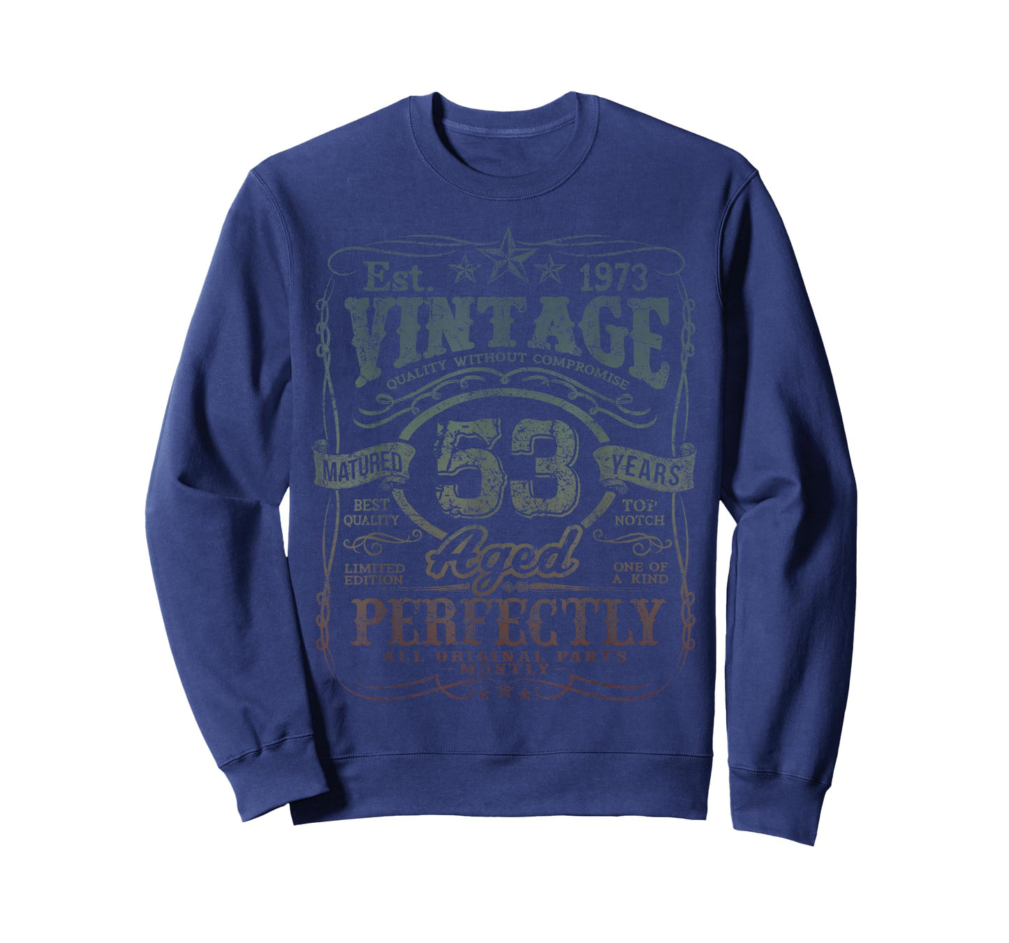 Vintage 1973 Limited Edition Shirt 53 Year Old 53rd Birthday T-Shirt