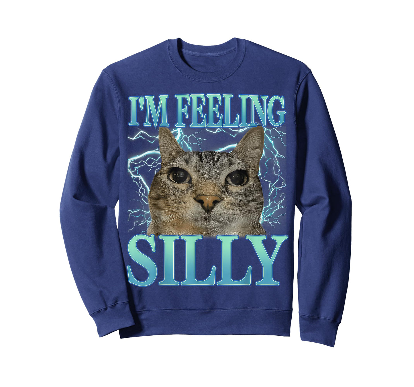 Funny Saying Cat Lover I'm Feeling Silly Cat Meme Humor T-Shirt