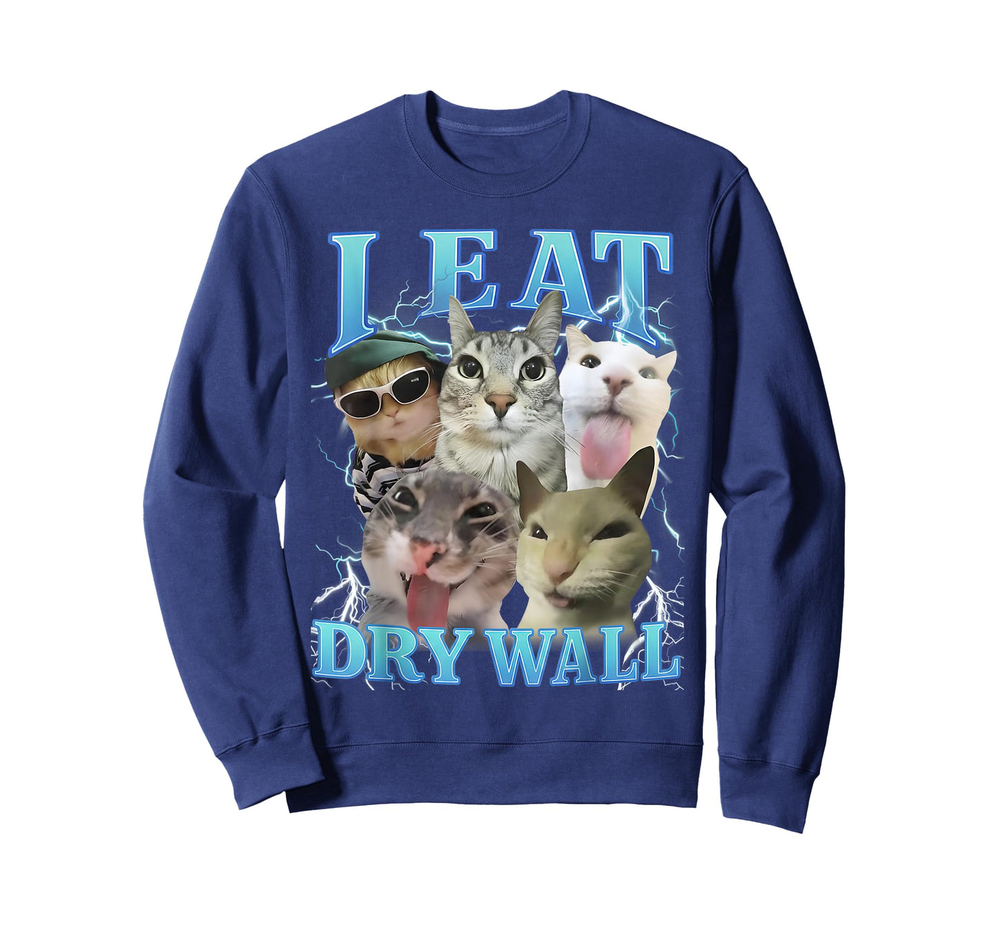 I Eat Dry Wall Funny Cat Meme T-Shirt
