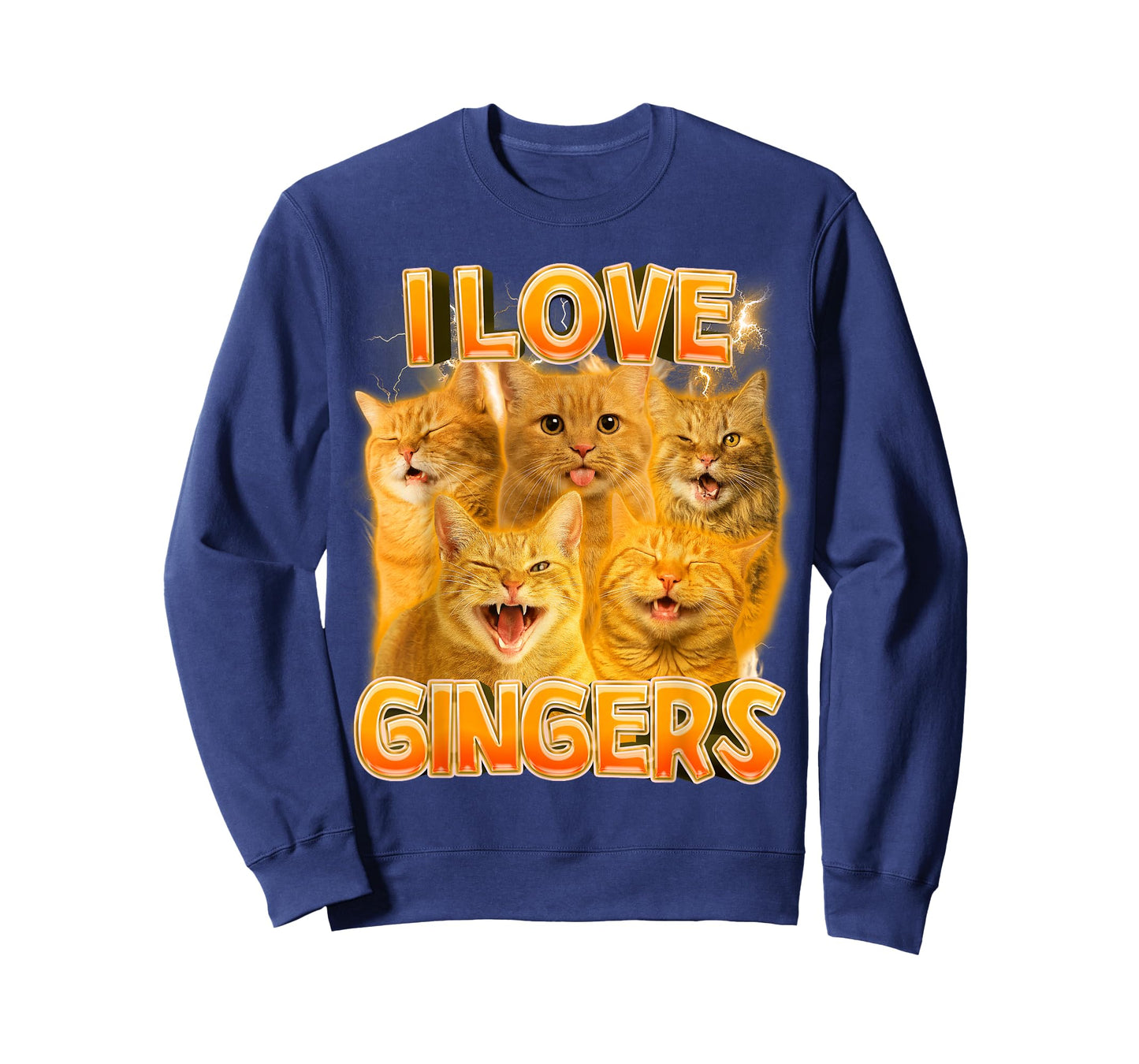 Ginger Cat Lover Cat Mom Cat Person Funny I Love Gingers T-Shirt
