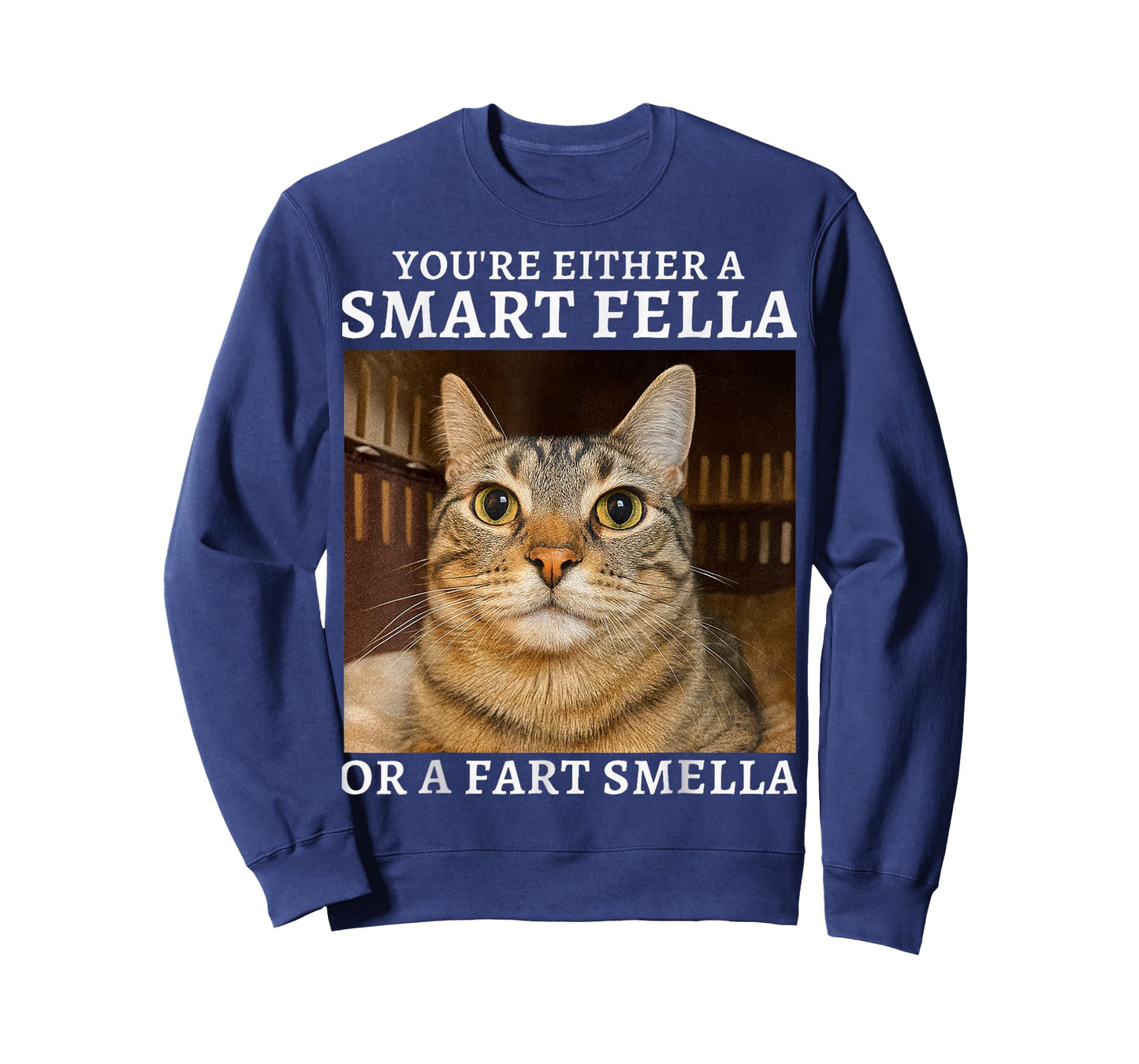 You're Either a Smart Fella or a Fart Smella Funny Cat Humor T-Shirt