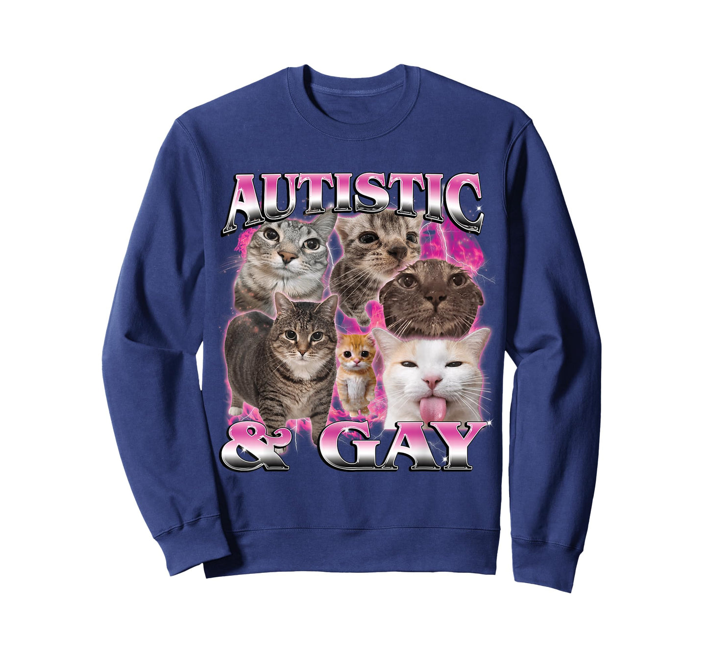 Autistic and Gay Funny Stupid Dank Cat Meme Bootleg Graphic T-Shirt