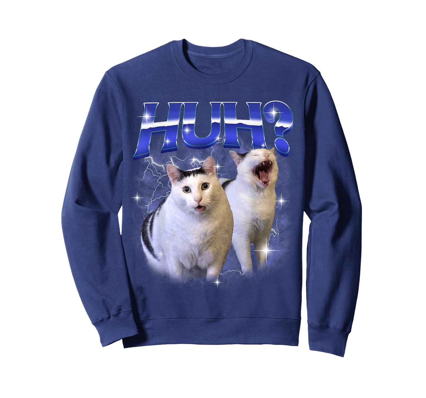 Huh Funny Dank Cat Meme Goofy Ahh Cats Silly Stupid Brainrot T-Shirt