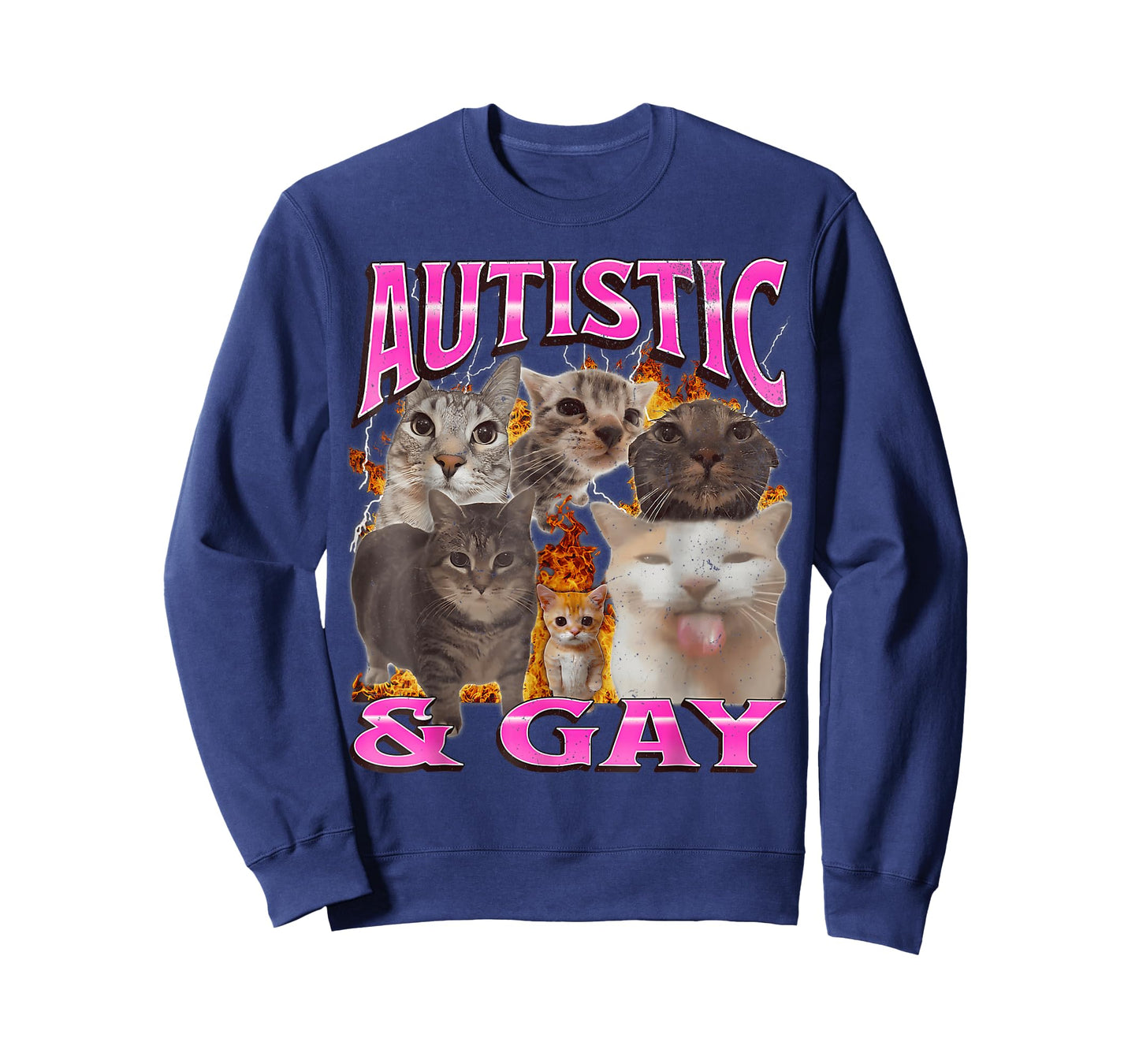 Autistic and Gay Funny Cat Meme Bootleg Graphic T Shirt T-Shirt