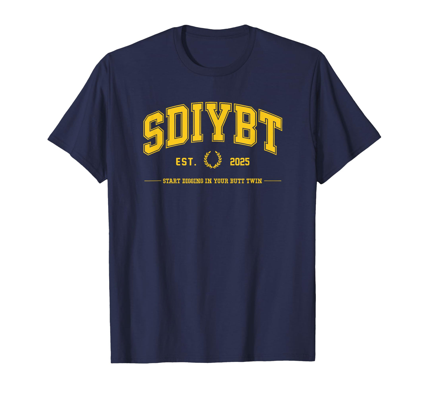 SDIYBT Start Digging in Your Butt Twin Meme 2025 Funny T-Shirt