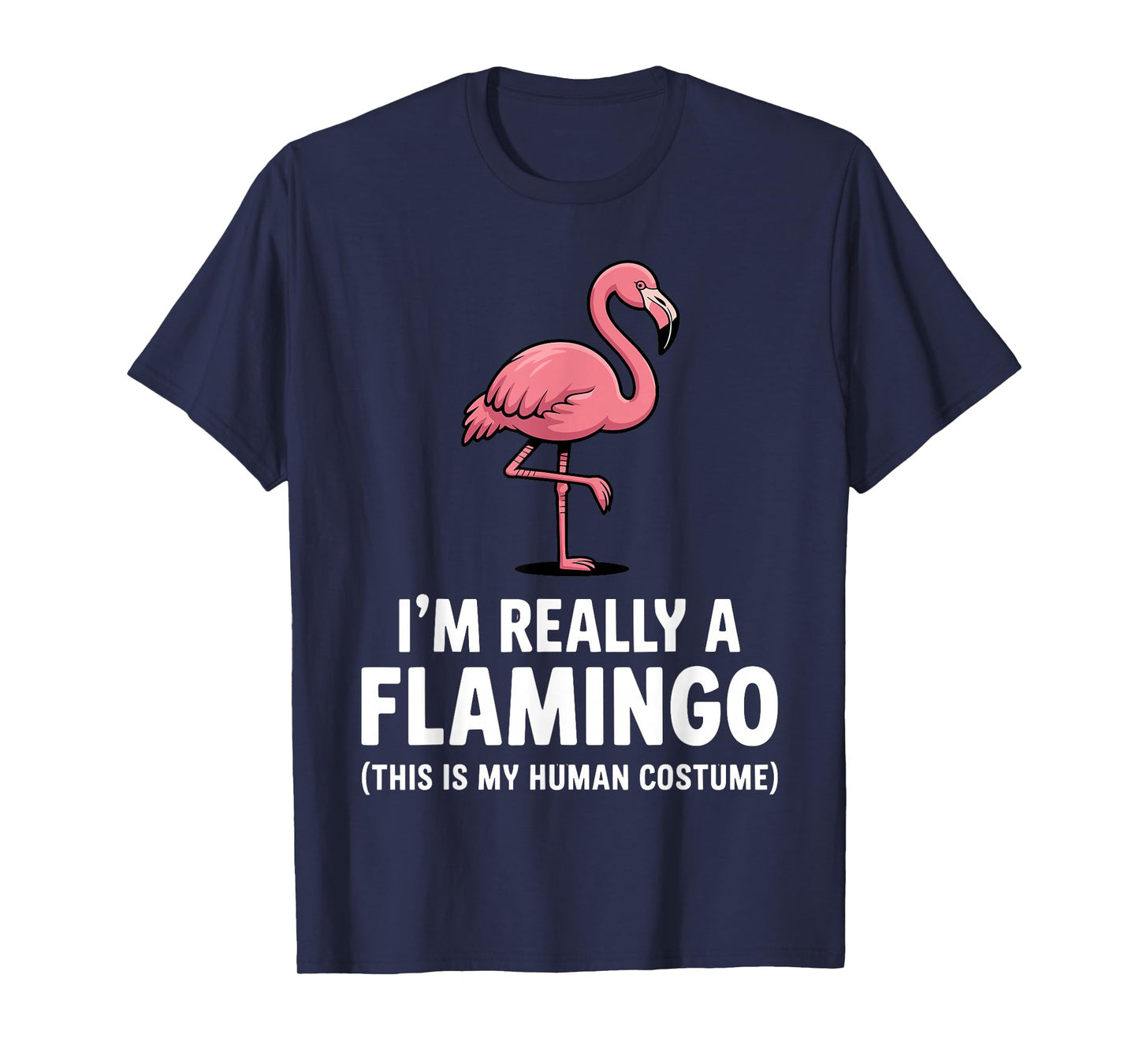 Funny Flamingo Design for Men Women Kids Bird Pink Flamingo T-Shirt