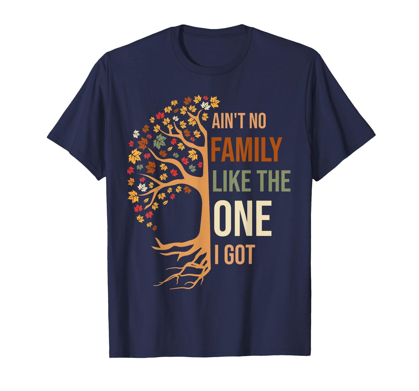 Ain't No Family Like The One I Got Funny Family Reunion 2024 T-Shirt