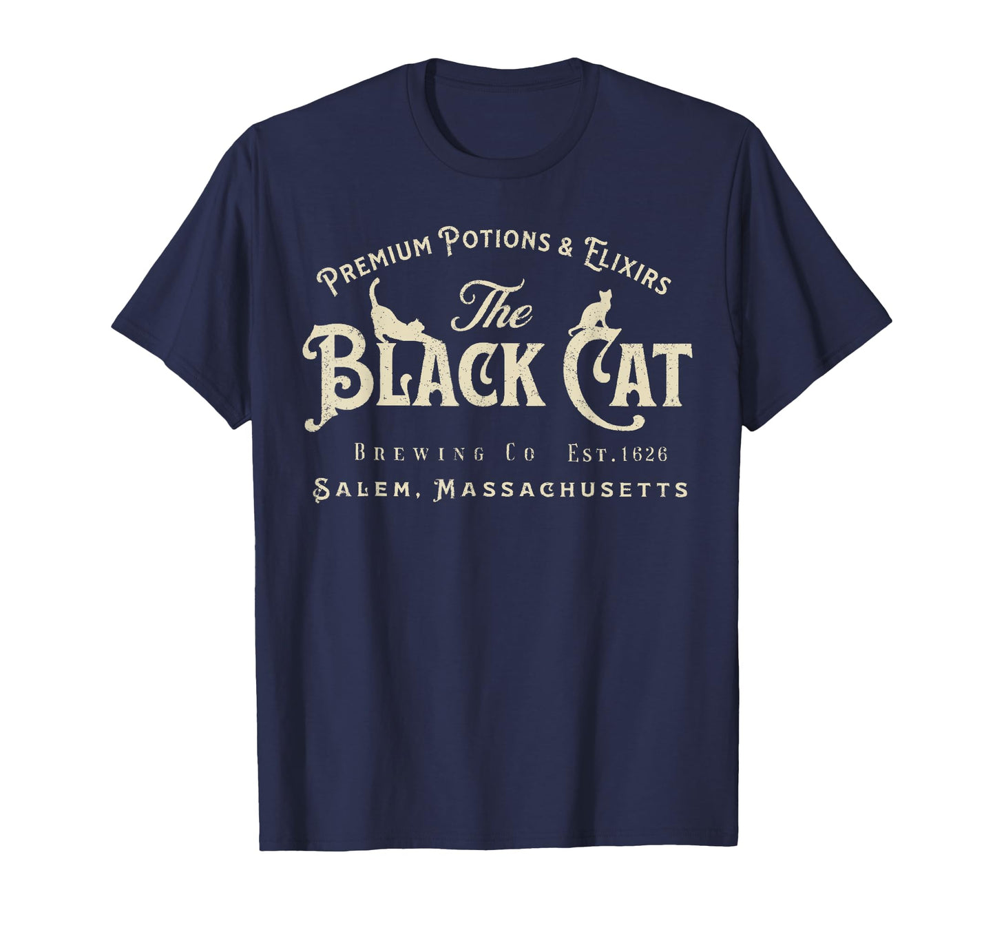 The Black Cat Witchy Salem Est 1626 Halloween Cat Lover Gift T-Shirt