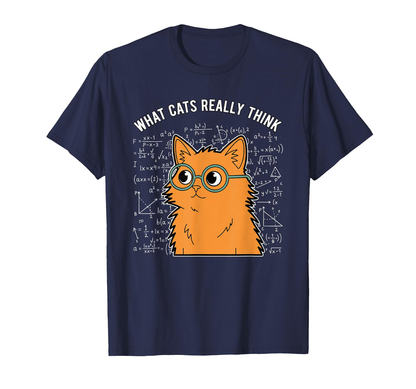 What Cats Really Think Funny Nerdy Math Cat Equations T-Shirt
