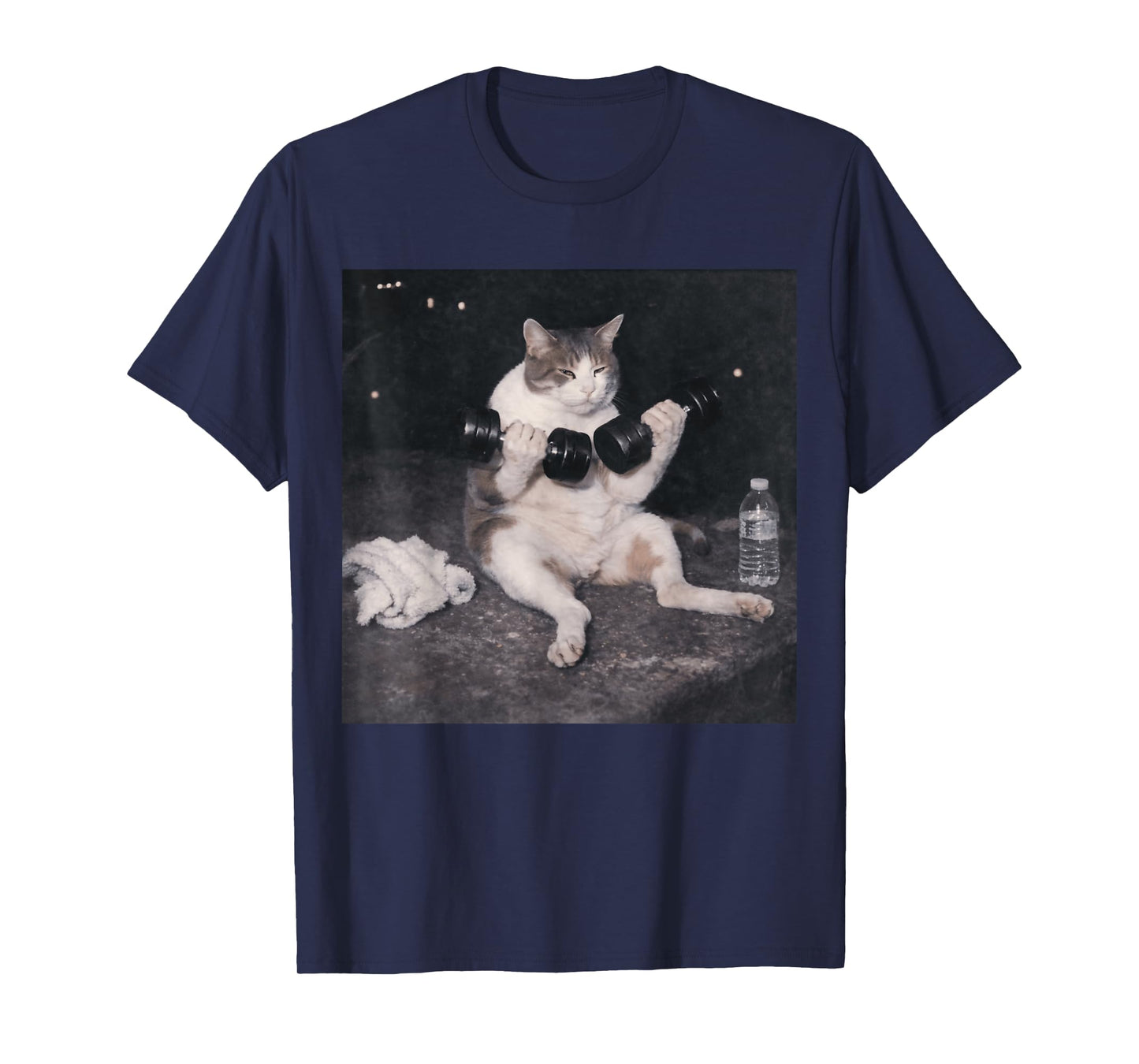 Funny Gym Cat Meme Vintage Weightlifting Workout Day Humor T-Shirt