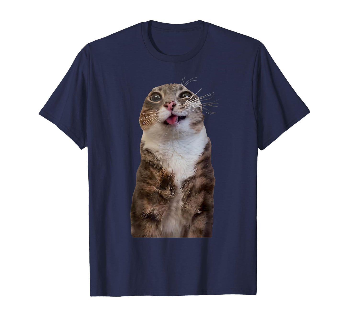 Funny Rigby Cat Silly Viral Meme T-Shirt