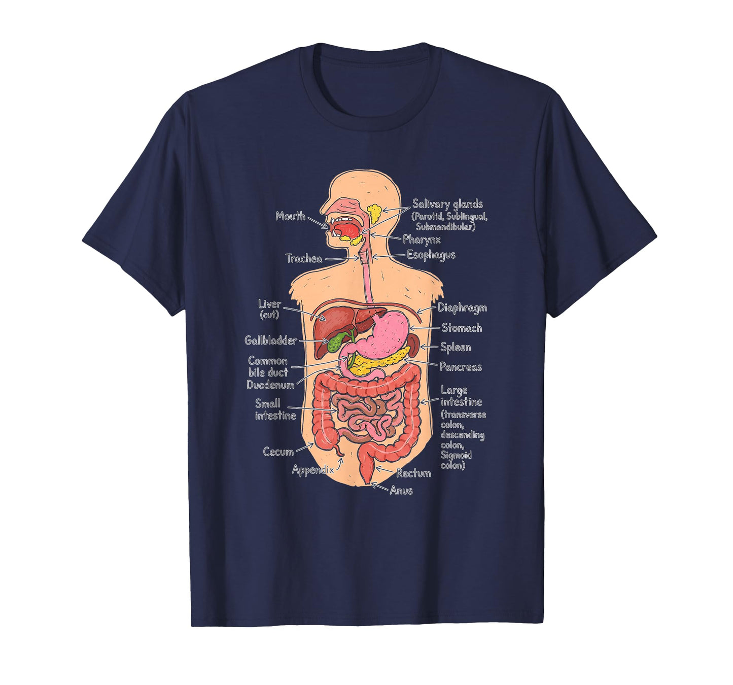 Human Digestive System Anatomy Chart Biology Diagram T-Shirt