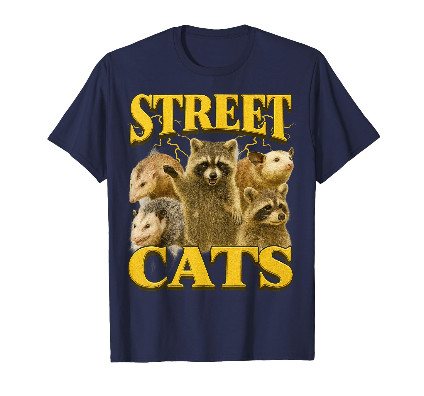 Funny Street Cats Funny Raccoon Bootleg Funny 90's Memes T-Shirt
