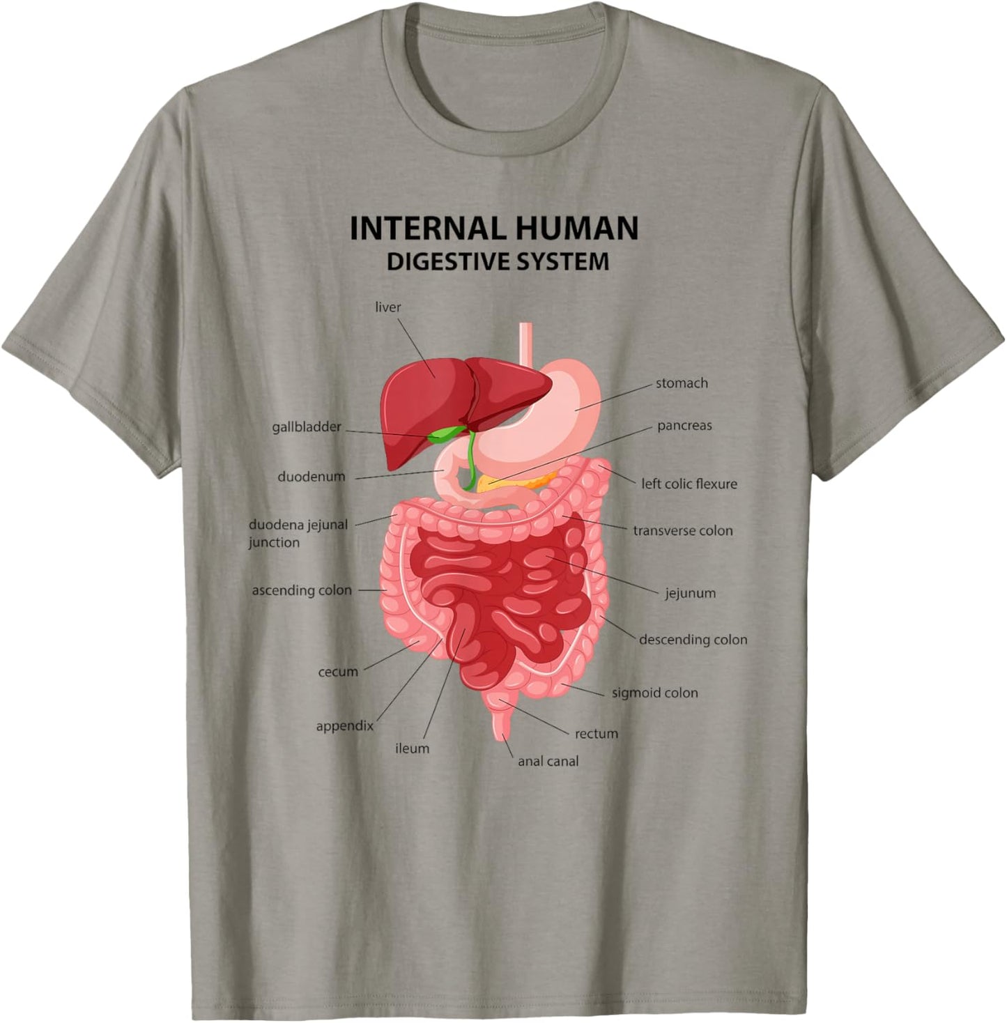 Funny Digestive System Anatomy Anatomical Biology Teacher T-Shirt - T-Shirt | Sand