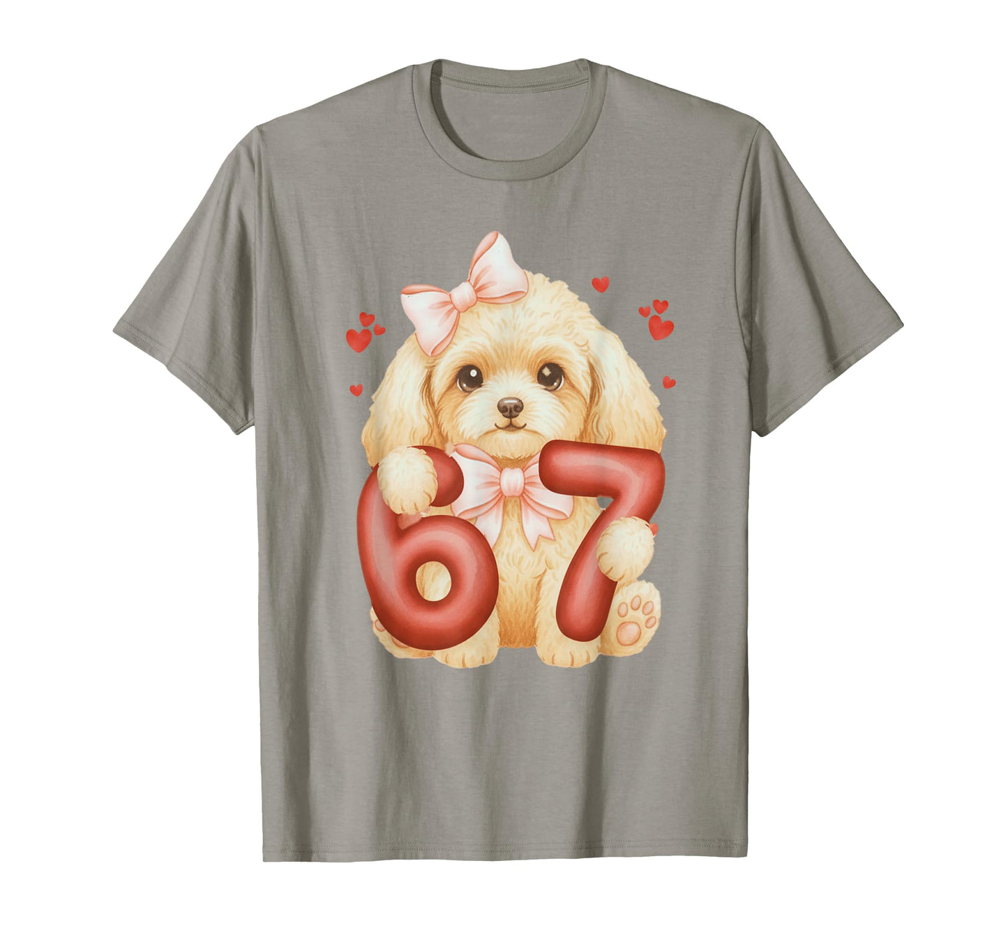 Cute Coquette Poddle Dog 67 Meme Six Seven Love Girl Women T-Shirt