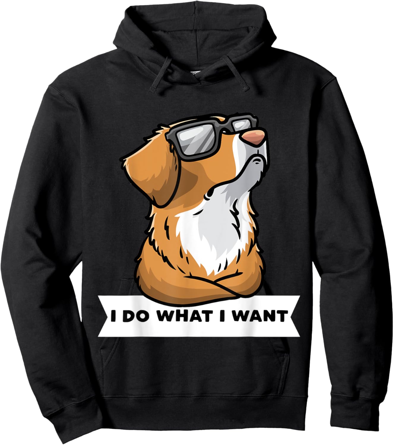 Nova Scotia Duck Tolling Retriever Dog With Sunglasses Hoodie - Hoodie | Black