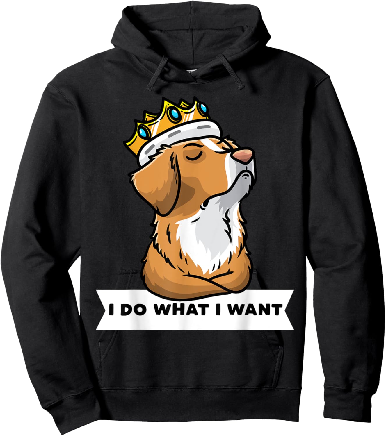 Nova Scotia Duck Tolling Retriever Dog Women Kids Hoodie - Hoodie | Black