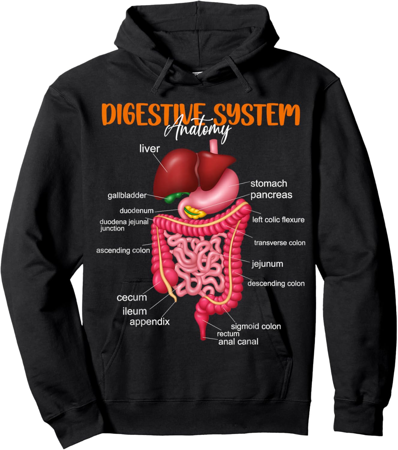 Funny Digestive System Anatomy Anatomical Biology Teacher Hoodie - Hoodie | Black