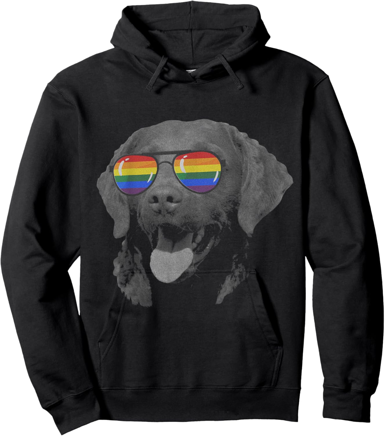 Pride Month chesapeake bay retriever Hoodie - Hoodie | Black