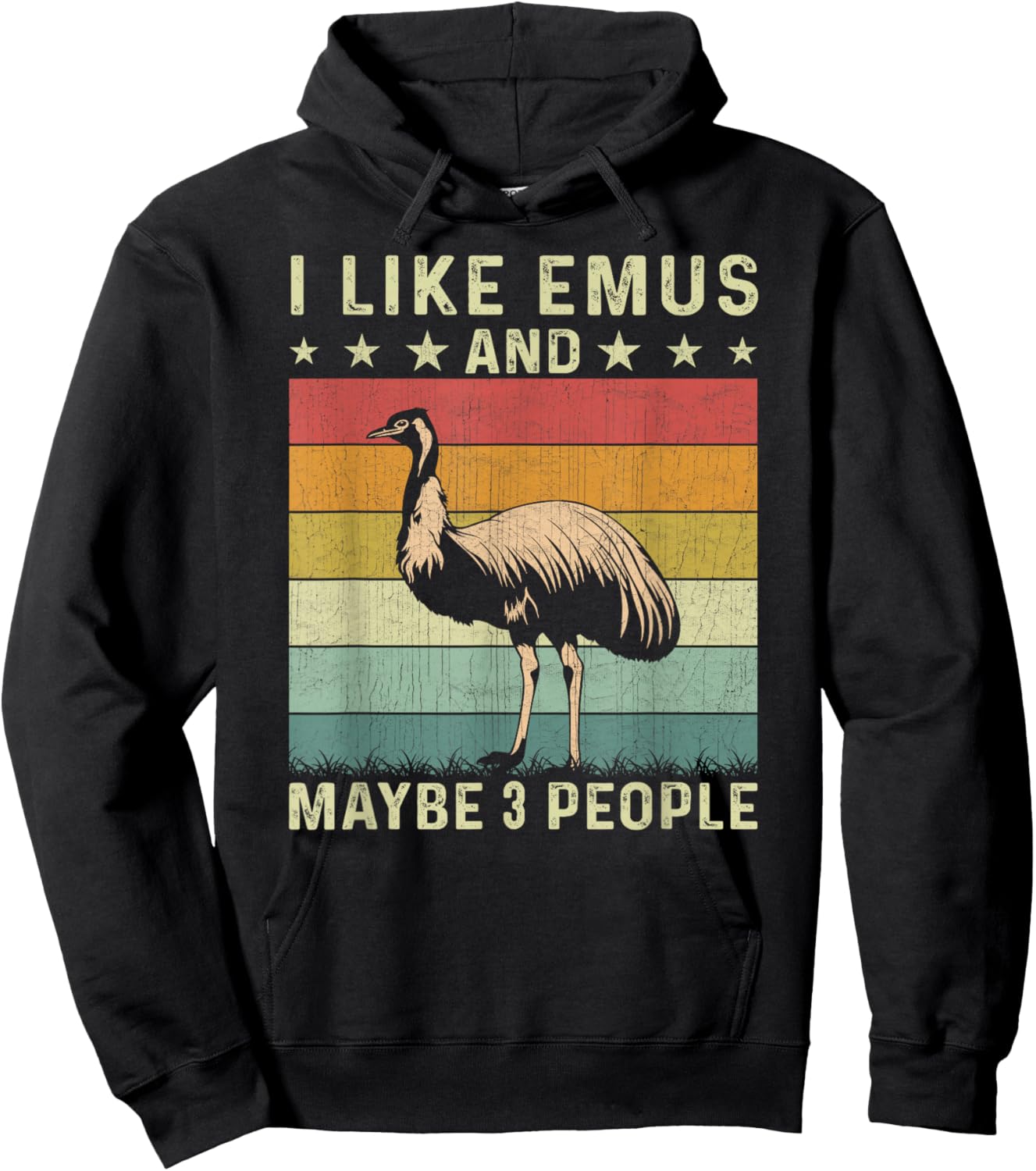 I Like Emus and Maybe 3 People Retro 60s 70s Emu Hoodie - Hoodie | Black