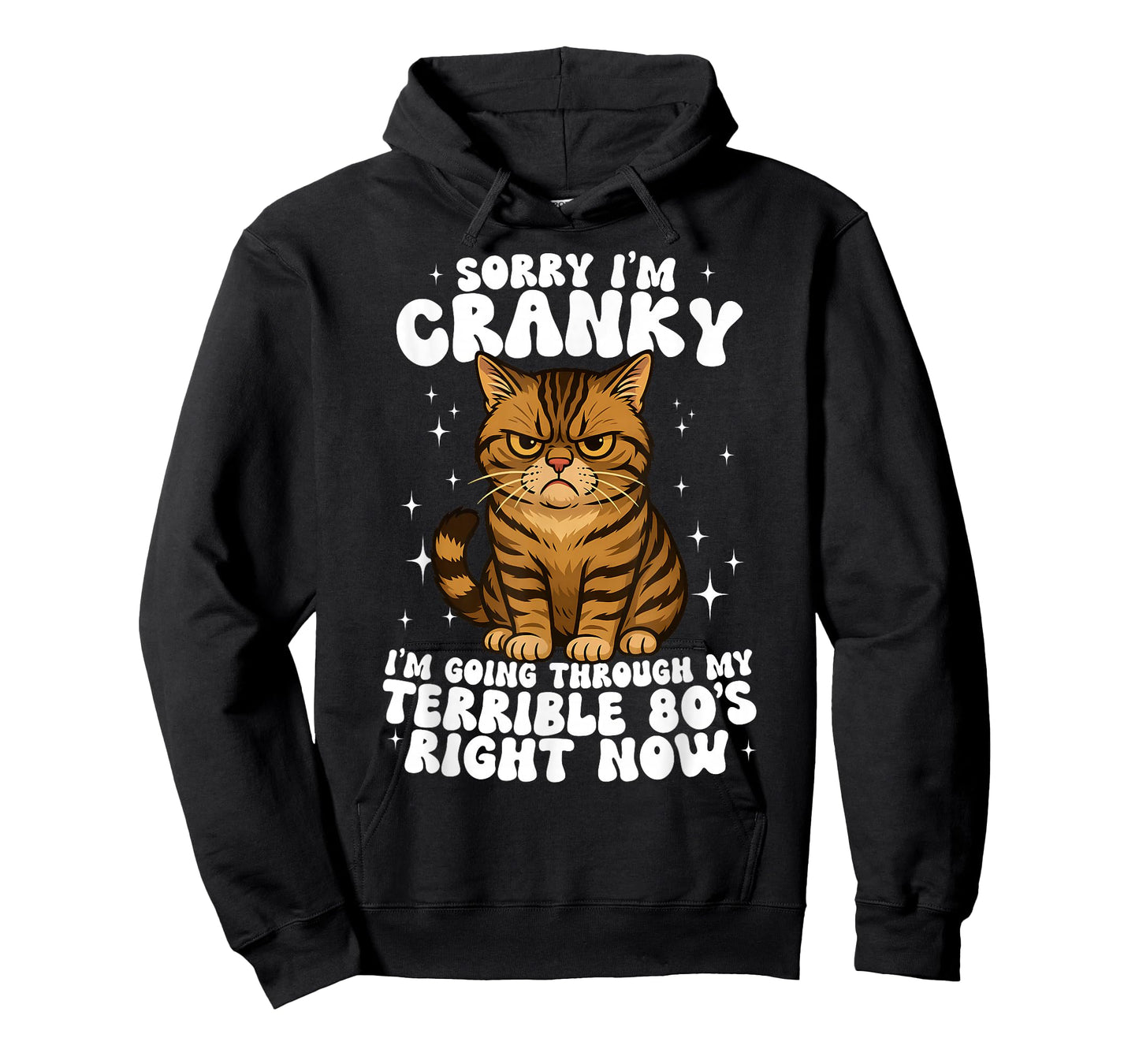 Sorry I'm Cranky I'm Going Through My Terrible 80's Cat T-Shirt