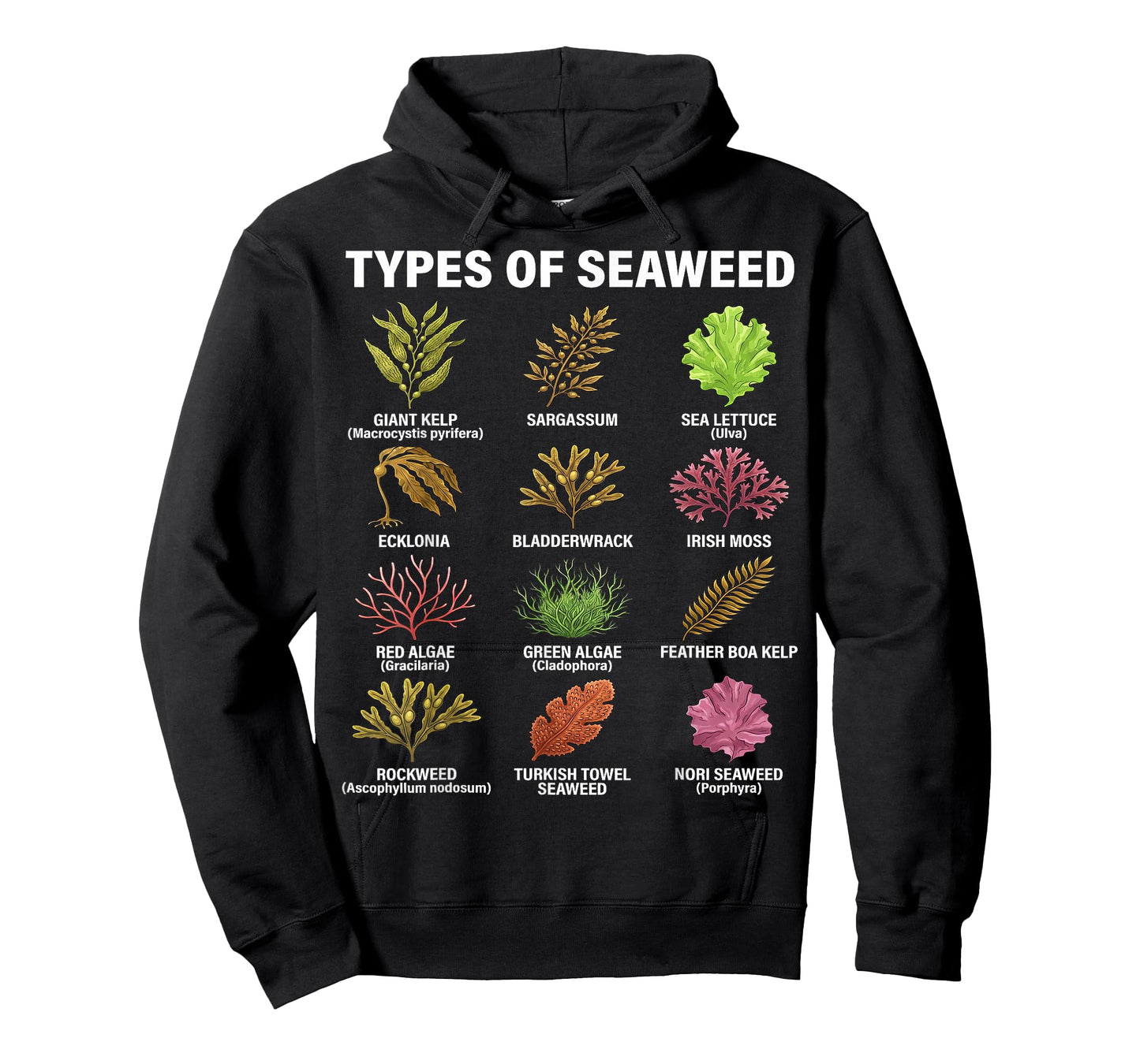 Types of Seaweed, Seaweed Species Chart, Marine Algae Types T-Shirt