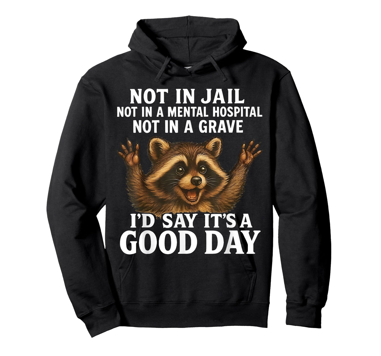 Raccoon Not in Jail Not in A Mental Hospital Funny Saying T-Shirt
