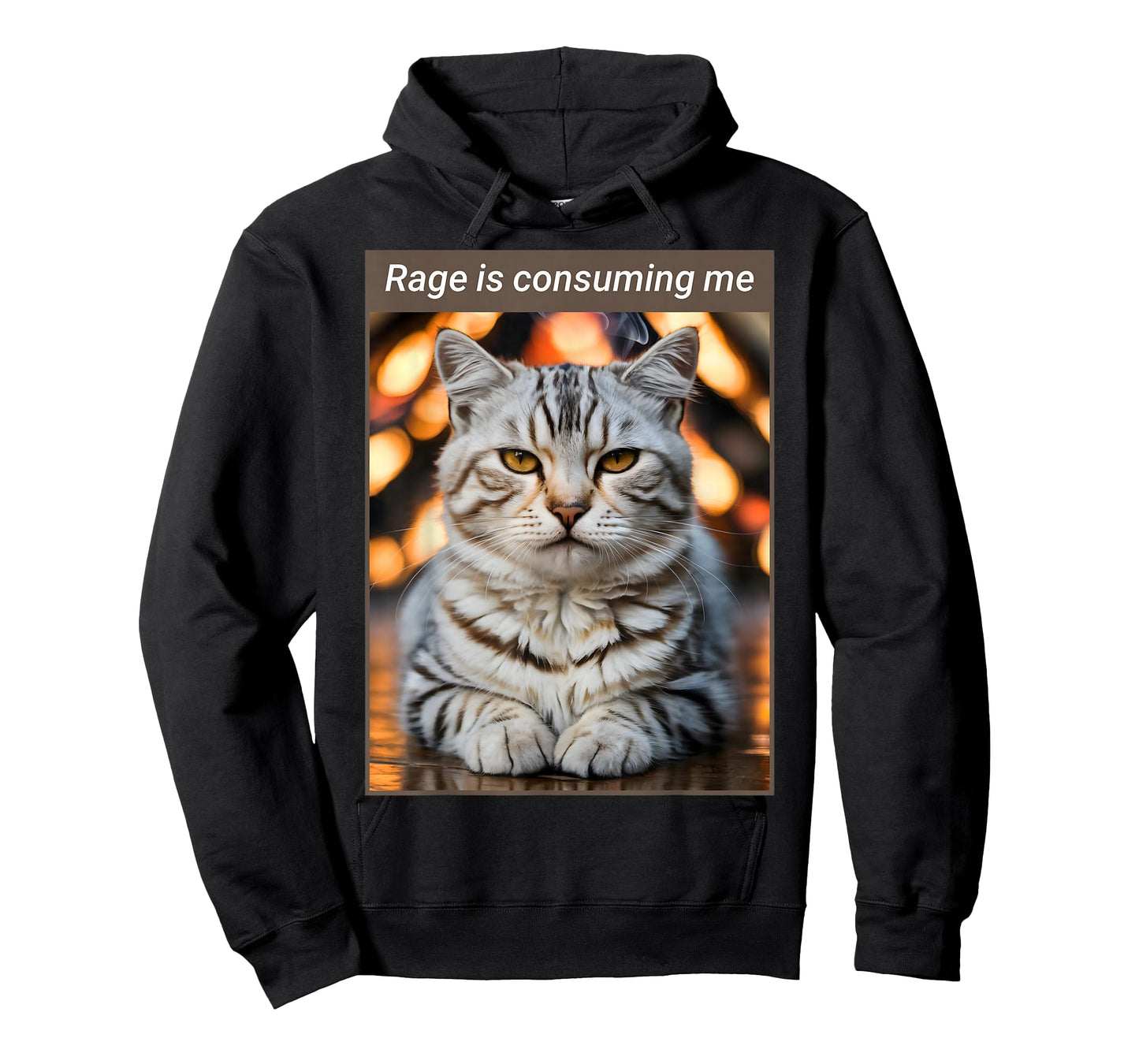 Rage is Consuming Me - Funny Cat T-Shirt