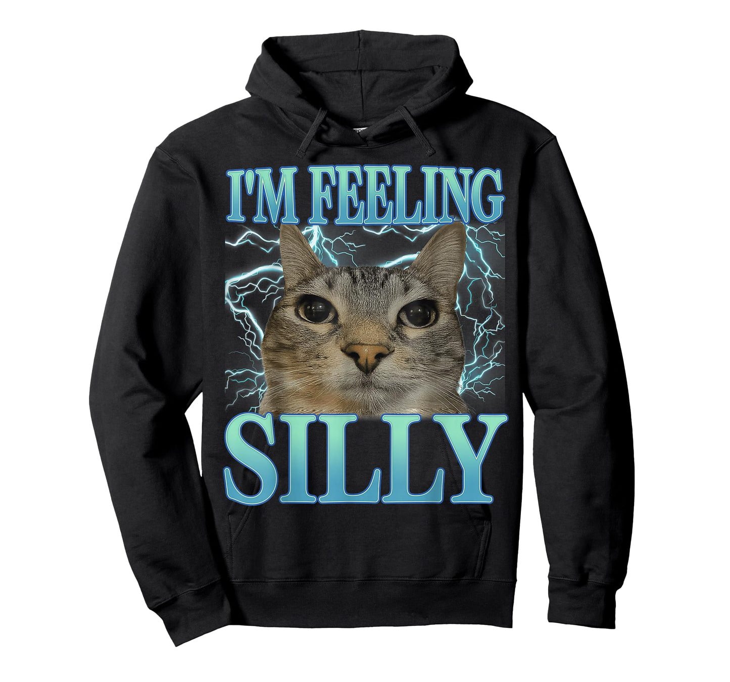 Funny Saying Cat Lover I'm Feeling Silly Cat Meme Humor T-Shirt
