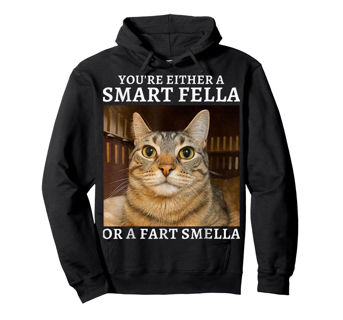 You're Either a Smart Fella or a Fart Smella Funny Cat Humor T-Shirt