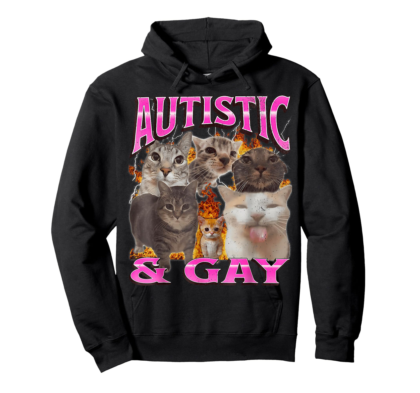 Autistic and Gay Funny Cat Meme Bootleg Graphic T Shirt T-Shirt