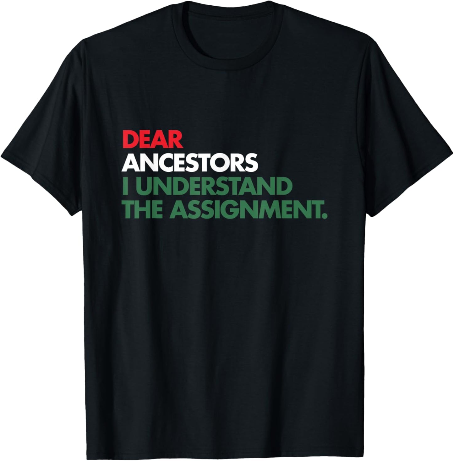 Dear Ancestors I Understand The Assignment T-Shirt - T-Shirt | Black