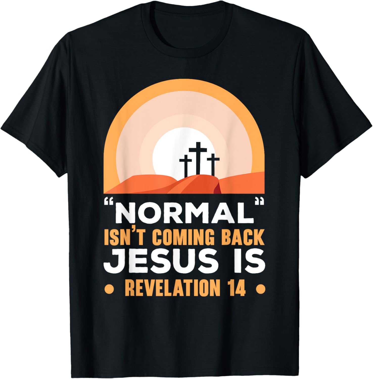 Normal Isn't Coming Back Jesus Is Christian Believer T-Shirt - T-Shirt | Black