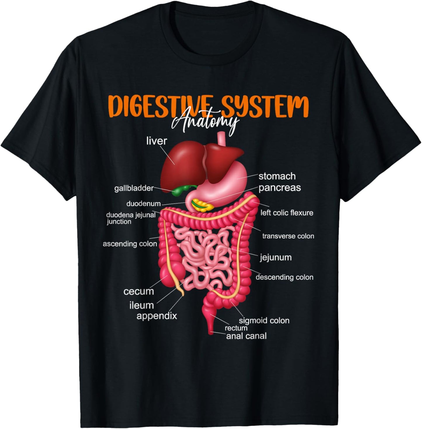Funny Digestive System Anatomy Anatomical Biology Teacher T-Shirt - T-Shirt | Black