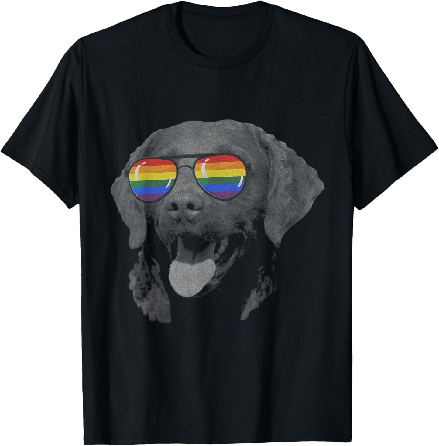 Pride Month chesapeake bay retriever T-Shirt - T-Shirt | Black
