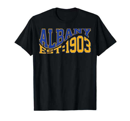Retro Albany Wave Text City Vintage State T-Shirt
