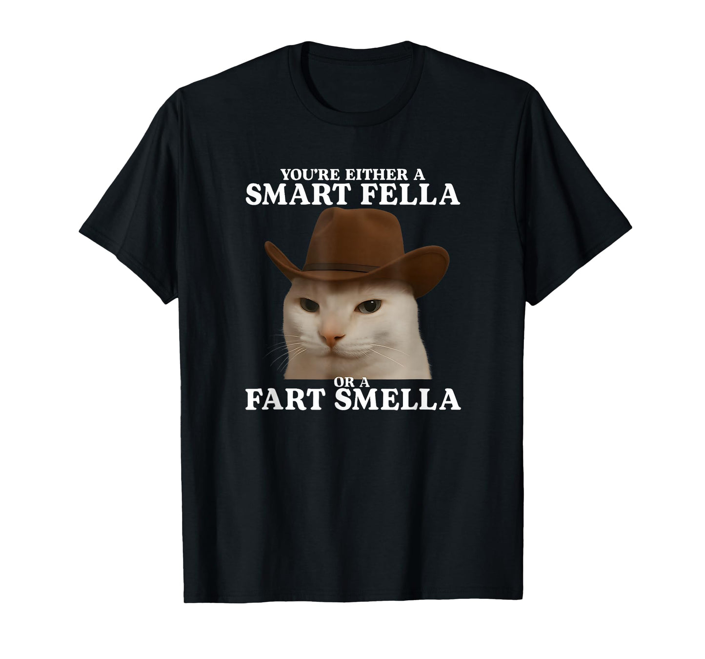 You're Either a Smart Fella or a Fart Smella Funny Cat Meme T-Shirt